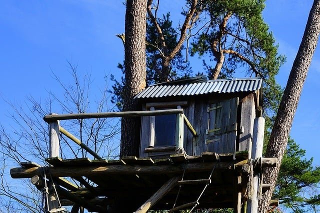 Cool Treehouse Ideas For Your Backyard